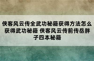 侠客风云传全武功秘籍获得方法怎么获得武功秘籍 侠客风云传前传岳胖子四本秘籍